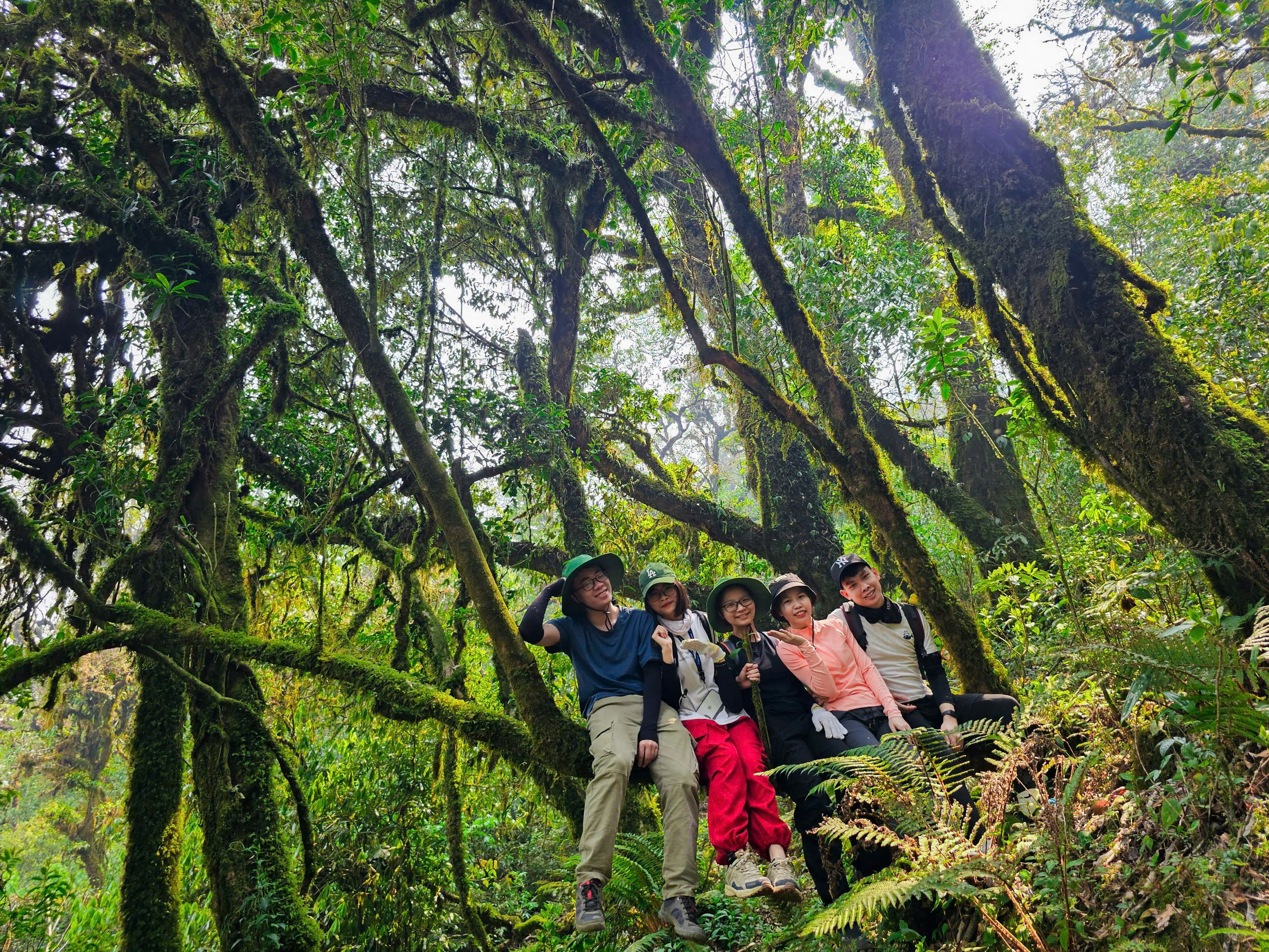 Tour trekking Tả Liên Sơn - Sunset Travel