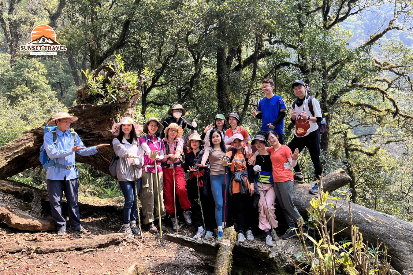 Tour trekking Tả Liên Sơn - rừng rậm